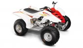 2013 Loncin LX110ATV-M Panther photo
